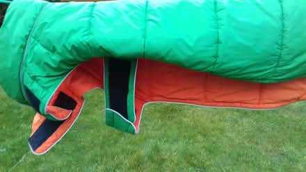 Photo of free Dog coat and harness (Heald Green SK8) #4