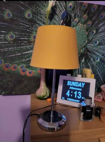 Photo of free Touch lamp (Netherfield MK6) #1