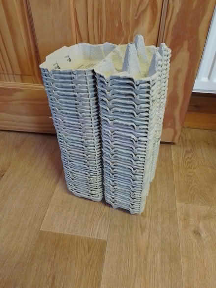 Photo of free Egg boxes (Crosspool S10) #1