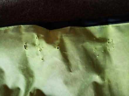 Photo of free Dog bed (Littleover DE23) #3