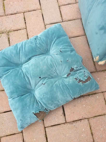 Photo of free Cat bed (Bartley Green B32) #3