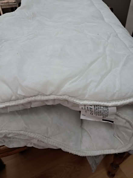 Photo of free Single Duvet (Dunstable LU6) #1
