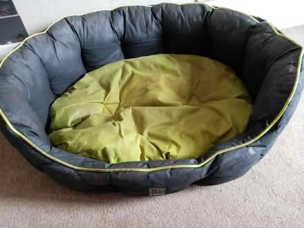 Photo of free Dog bed (Littleover DE23) #1