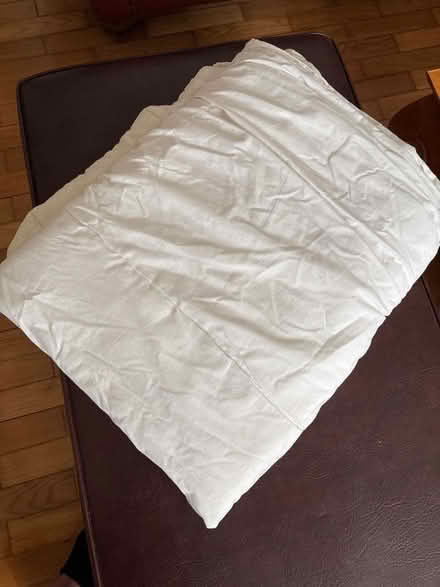 Photo of free Single Duvet (Blacklands TN34) #1