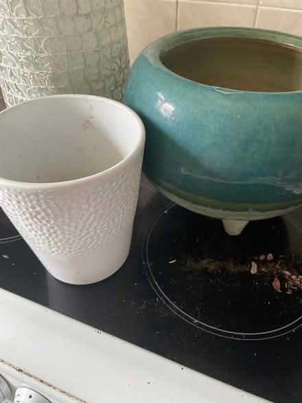 Photo of free Vase and plant pots (Chilwell NG9) #3
