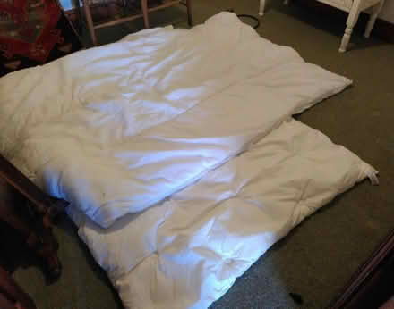 Photo of free 4 single duvets - 2 polyester filling and 2 feather (Burneside LA9) #1