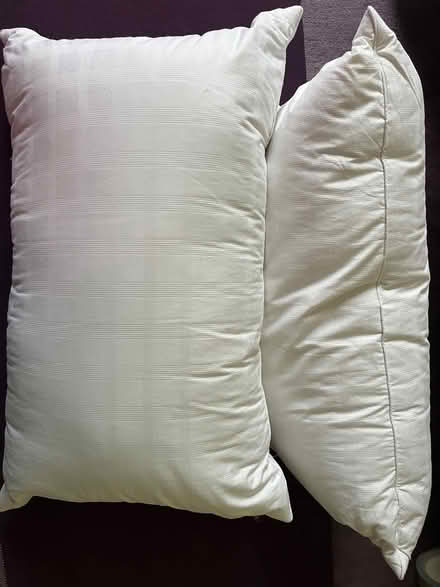 Photo of free 2 duck feather surround John Lewis pillows (Nether Edge S7) #1