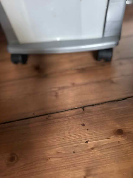 Photo of free Plastic drawers on wheels (SE4 1SJ) #3