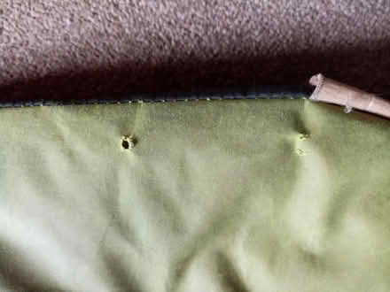 Photo of free Dog bed (Littleover DE23) #4