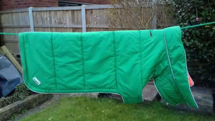 Photo of free Dog coat and harness (Heald Green SK8) #2