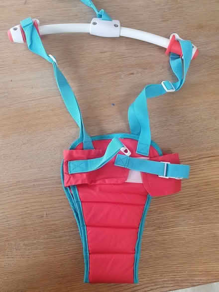 Photo of free Munchkin Baby Door Bouncer (Maidenhead, SL6 4) #2