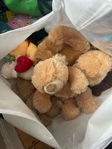 Photo of free Bag of teddies (West didsbury) #1