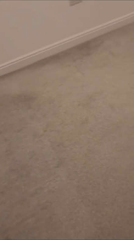 Photo of free Light oatmeal carpet (Whitley) #1