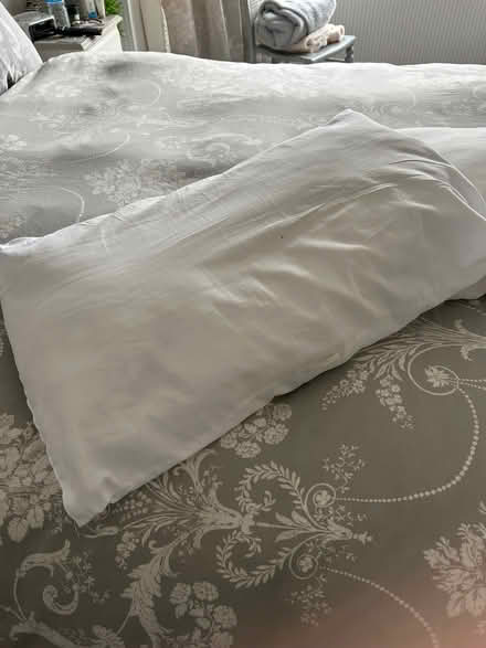 Photo of free Pillows (Hall Green B28) #1