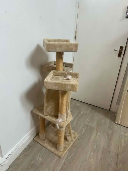 Photo of free Cat scratch tower (Alice Bright Lane area TN6) #2