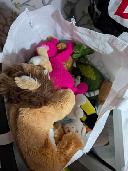 Photo of free Teddy's bag (Sutton courtenay OX14) #1