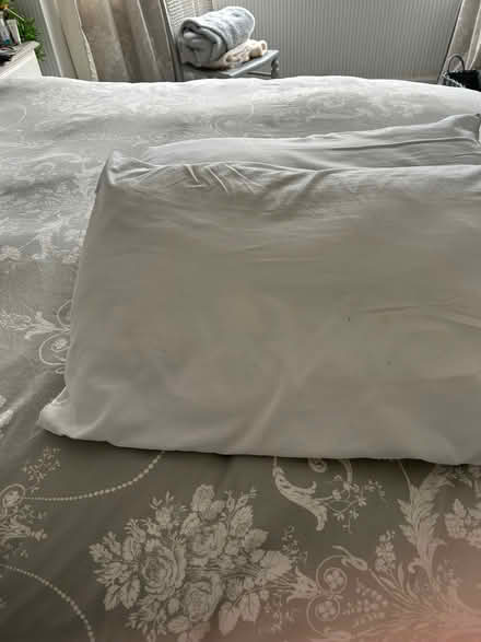 Photo of free Pillows (Hall Green B28) #2
