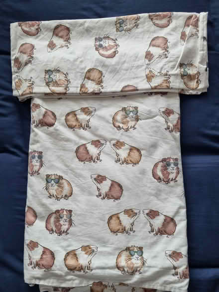 Photo of free Guinea pig duvet set (EN6) #1