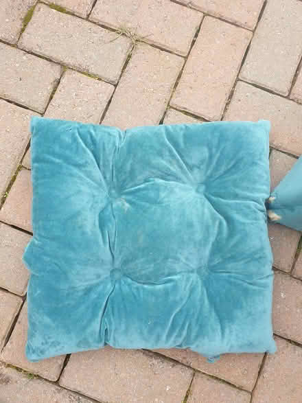 Photo of free Cat bed (Bartley Green B32) #1