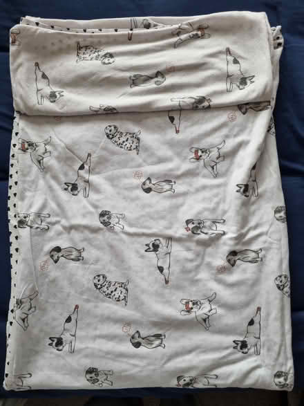 Photo of free Dog duvet set (EN6) #1