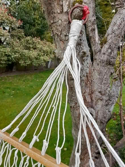 Photo of free Traditional Garden Hammock (Harrogate HG2) #4