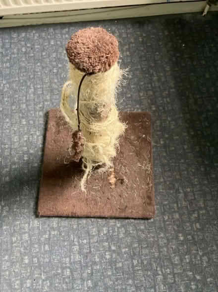 Photo of free Cat scratching post (Toxteth L8) #1