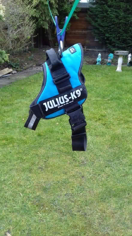 Photo of free Dog coat and harness (Heald Green SK8) #3