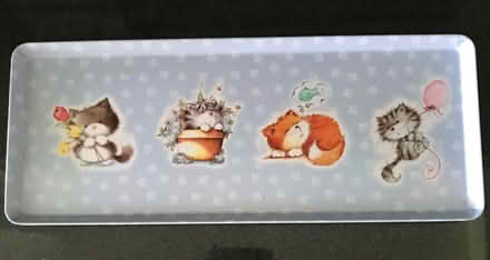 Photo of free Sandwich Tray Cat Design (Willaston CH64) #1