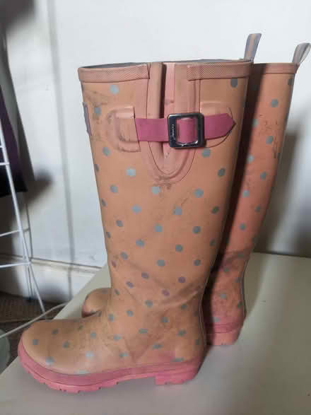 Photo of free Pretty Wellies Size 5 (Montgomery St, EH7.) #1