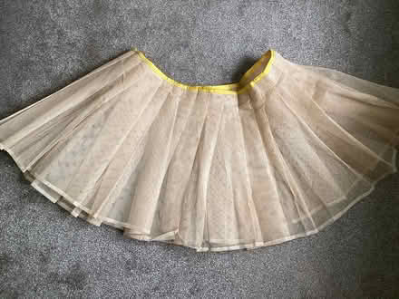 Photo of free Cancan (Hughenden Avenue HP13) #1