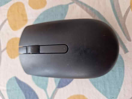 Photo of free Dell wireless mouse (SE1) #1