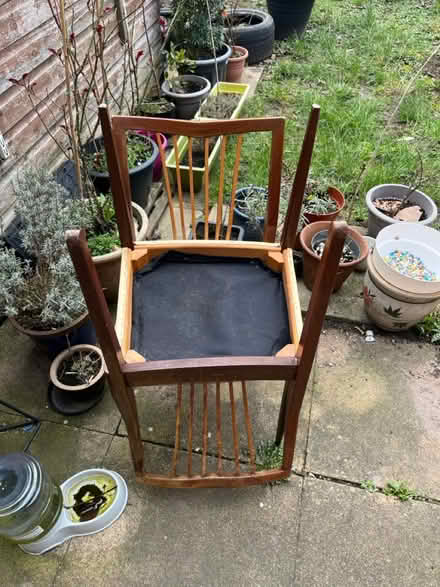 Photo of free Dining chairs (Horfield Bristol) #4