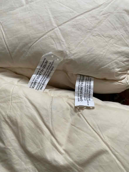 Photo of free Ercol Seat & arm cushion inners (Worcester Park KT4) #2