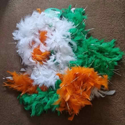Photo of free 2 x feather boas for Paddy's day (Hanworth TW13) #1