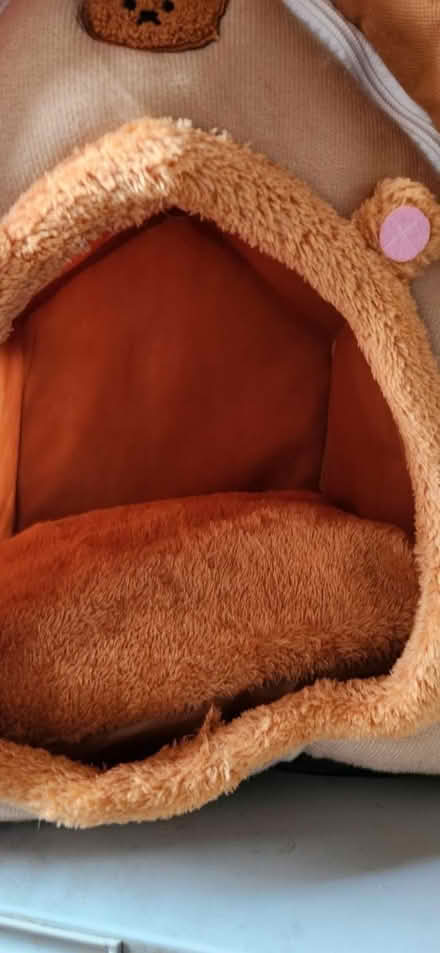 Photo of free Small dog hut (OX3) #2