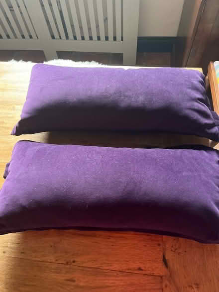 Photo of free Velvet cushions (Chesham HP5) #1