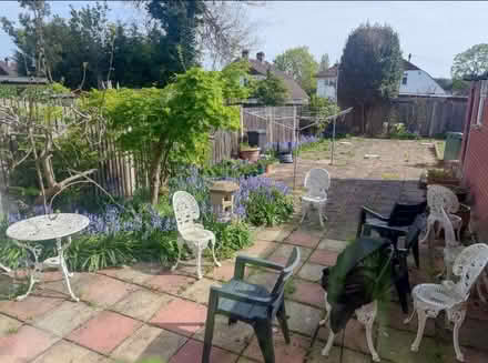 Photo of free Around 100 patio paving slabs (Grove Park SE12) #1