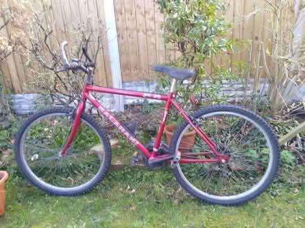 Photo of free Boy's bike (or OK for small adult) (Greasby CH49) #1