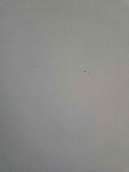 Photo of free IKEA MELLTORP 75cm table (W3 7DY) #2