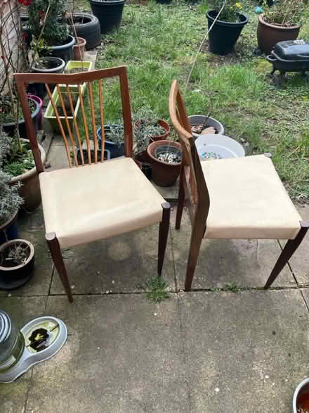 Photo of free Dining chairs (Horfield Bristol) #2