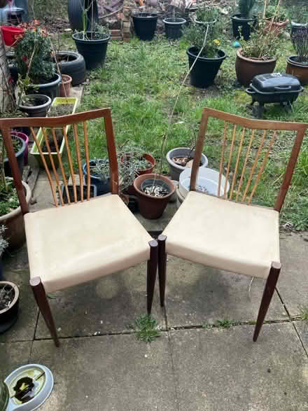 Photo of free Dining chairs (Horfield Bristol) #1