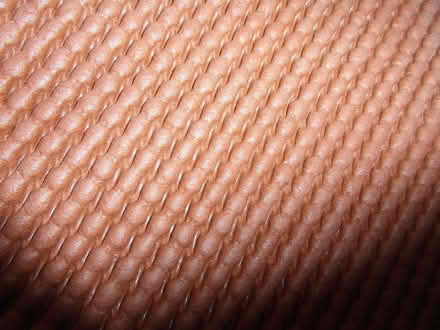 Photo of free underlay (Waverton CH3) #1