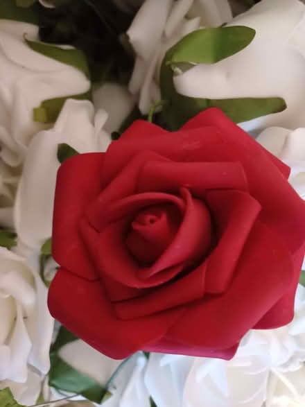 Photo of free Material Roses on small wire stems (Long Ditton KT6) #3