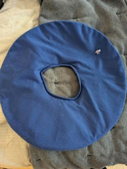 Photo of free Doughnut cushion (Richmond, TW9) #1