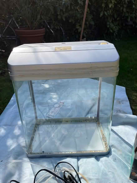 Photo of free Fish tank plus (Enfield EN1) #1