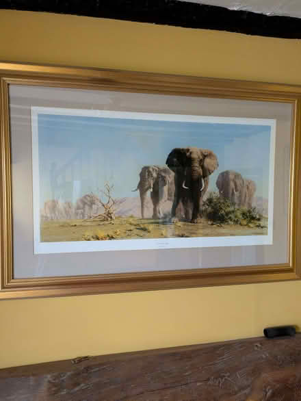 Photo of free David Shepherd print (Felindre LD7) #1