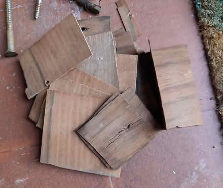 Photo of free Mahogany? veneer pieces (BN3) #1