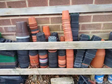 Photo of free Plant pots - small and medium (Greasby CH49) #1