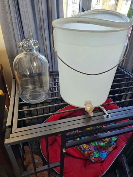 Photo of free Home Brew bucket and 1 Demi jar (Carlisle CA3) #1