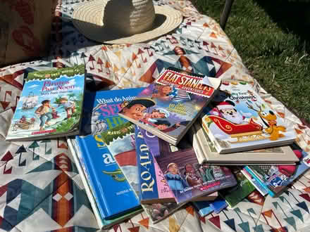 Photo of free Bag of books (San Jose Hillsdale near Ross) #1